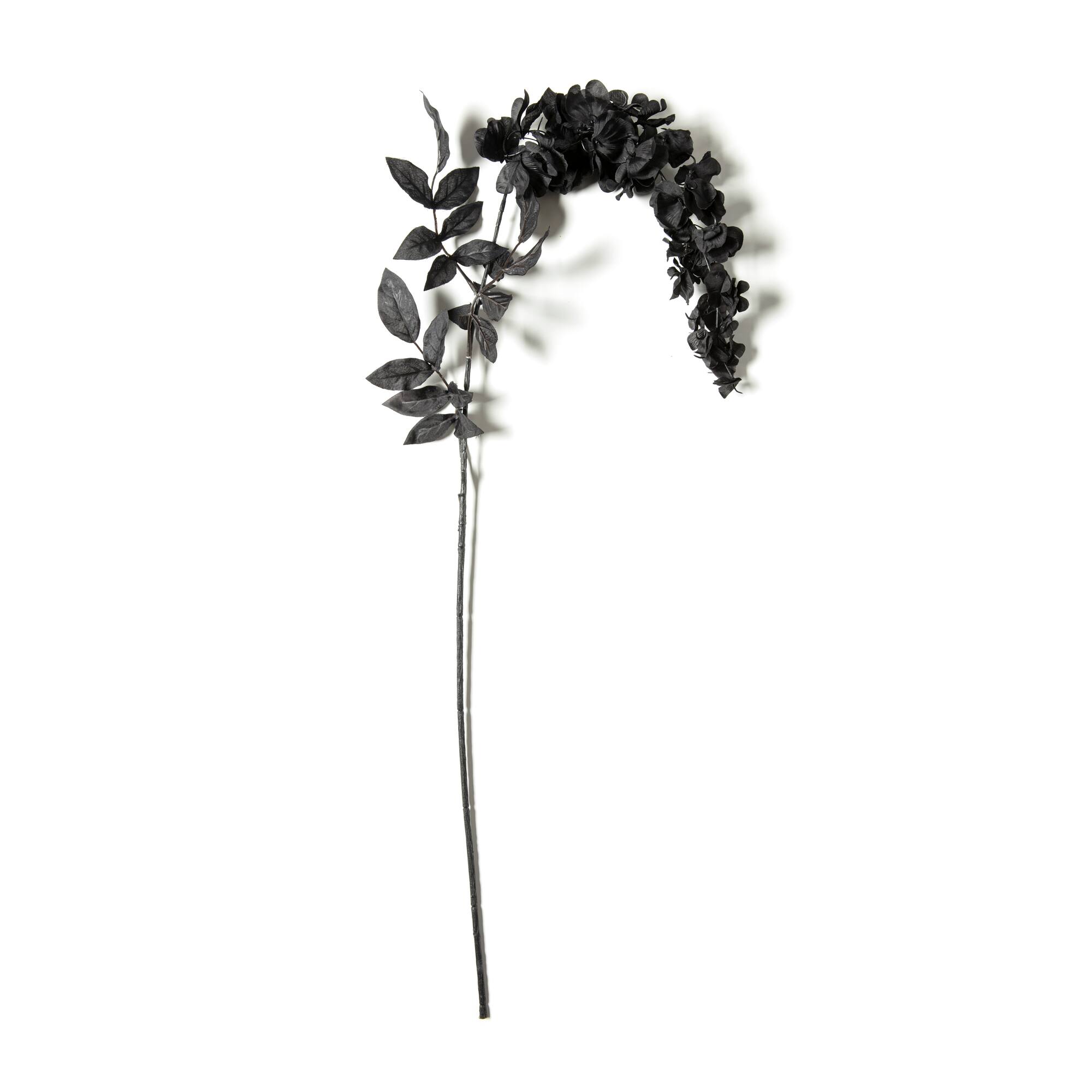 Black Wisteria Stem by Ashland®